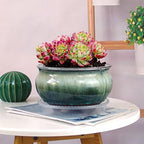 8 Inch Succulent Pot with Drainage and Saucer Glazed Terracotta Round Ceramic Succulent Planter Cactus Bonsai Plant Pot (White and Green) - Image 4