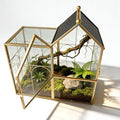 Ready-to-Use Glass Terrarium with Vents - 8.66"x4.72"x8.46" House-Shaped Jumping Spider Enclosure, Habitat for Praying Mantis, Snails, Insect or Succulent Plants - Home Garden Tabletop Decor by YYFWND