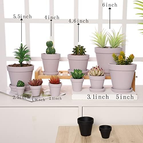 Yishang Large Terra Cotta Pots with Saucer- 6 Pack Large 6'' Terra Cotta Plant Pot with Drainage Hole, Flower Pot with Tray, Terracotta Pot for Indoor Outdoor Plant(Purplr) - Image 3