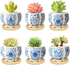 3.1 Inch Flower Pots Succulent Pots with Drainage Bamboo Tray Set of 6 by celamos