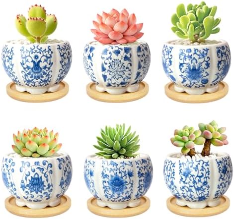 3.1 Inch Flower Pots Succulent Pots with Drainage Bamboo Tray Set of 6 by celamos