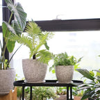 8 Inch + 6 Inch Retro Ceramic Planter Set of 2 with Drainage Hole and Saucer for Multiple Plants, Indoor-Outdoor Garden Pots for Succulent, Orchid, and Flower (Retro White) - Image 7