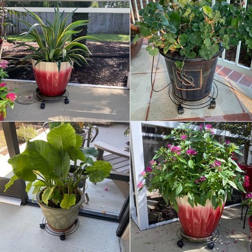 5 Pack 10.6 Inch Metal Plant Caddy with wheels, Heavy Duty Plant Dolly for Indoor and Outdoor Large Potted Plants, Black - Image 6