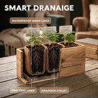Bonsai Tree Kit Classic - Growing 3 Unique Japanese Bonzai Trees - Image 5