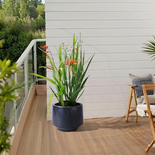 9 Inch Ceramic Planter Set of 3, 15/11/9 Inch, Antique Black - Image 2