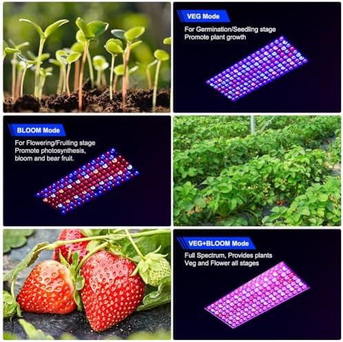 Upgraded BW1000 LED Grow Lights Double Chips Full Spectrum with 10ft Cable for Greenhouse and Indoor Plant Veg and Flower Growing [Black] - Image 2