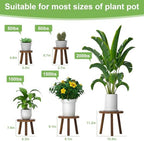5-Pack Wood Plant Stands Indoor, Single Plant Stand for 6-12 Inch Pots, Mid-Century Modern Plant Stool, Tall Plant Stand for Large Plants for Living Room, Balcony, Office (Dark Brown) - Image 2