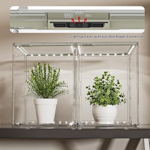 JOYZAN Clear Mini Indoor Greenhouse Small Tabletop Green House with Lights - Image 5