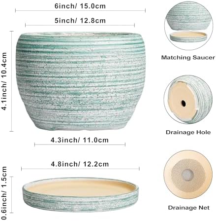 SQOWL Ceramic Plant Pots - 6 Inch Planter with Drainage Hole and Tray, Round Flower Pot for Indoor Plants, Decorative Succulent Planter Outdoor, Home House Decor, Gifts for Women Men, Green - Image 3