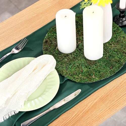 Canlierr 12 Pack Round Dried Moss Mats Sheet for Crafts Decor, 10 Inch - Image 4