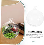 Glass Hanging Globe Terrarium 2pcs for Plants and Flowers - Image 4