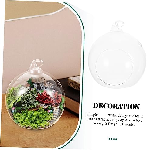 Glass Hanging Globe Terrarium 2pcs for Plants and Flowers - Image 4