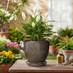 6 Inch Plant Pot, Ceramic Pots for Plants with Drainage Hole and Saucer, Decorative Planters for Indoor Plants, Small Flower Pots, Home Office Room Decor, Gifts for Plant Lovers, Retro Brown - Image 4