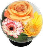 Achla Designs Glass Flower Aquarium, Globe Vase - Image 2