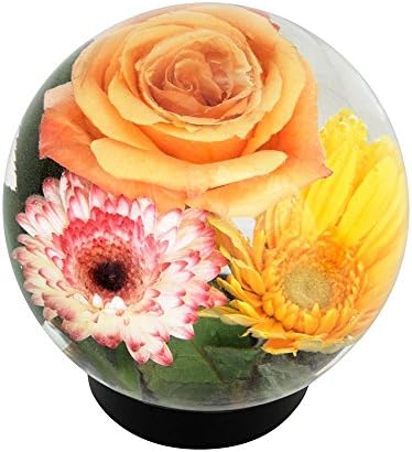 Achla Designs Glass Flower Aquarium, Globe Vase - Image 2