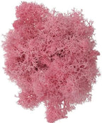 100g Artificial Moss for Crafts, Faux Decorative Plant for DIY Walls Wedding Party Table Centerpieces Home, Pink by LKXHarleya