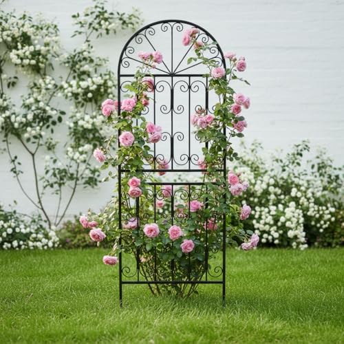 SCENDOR 70.8" H x 24.5" W Decorative Metal Garden Trellis - Rustproof Black Iron Arched Fence for Climbing Roses, Clematis, and Vines - Sturdy Plant Support for Patio, Lawn, and Backyard 1 Pack - Image 5
