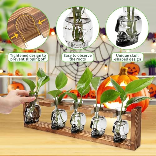 Plant Terrarium Propagation Stations Halloween Skull Planter Vase Skulls - Image 2