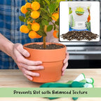 Soil Sunrise Citrus Tree Potting Soil Mix (30 Quarts) Special Blend for Indoor Oranges, Lemons, Limes and More - Image 4