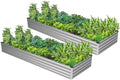 2PCS 9x3x1ft Galvanized Raised Garden Bed,Outdoor Planter Box Metal Patio Kit Planting Bed for Vegetables Flowers Herb,Silver by Easllre