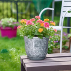 Ceramic Plant Pots, 8 Inch Plant Pot with Drainage, Grey - Image 4