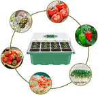Ulalaza 10 Pack 6 Holes Seed Starter Trays Seedling Tray Humidity Adjustable Plant Starter Kit with Dome and Base Greenhouse Grow Trays for Seeds Growing Starting - Image 5