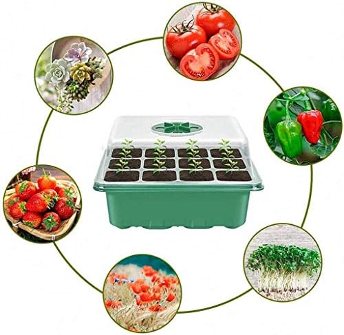Ulalaza 10 Pack 6 Holes Seed Starter Trays Seedling Tray Humidity Adjustable Plant Starter Kit with Dome and Base Greenhouse Grow Trays for Seeds Growing Starting - Image 5