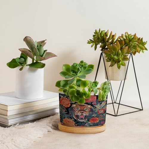 Chinoiserie Tiger Planters Ceramic Green and Turquoise Tiger Stripe Round Plant Pot with Drainage Holes and Bamboo Tray Pot for Succulents Cactus Garden Windowsill - Image 4