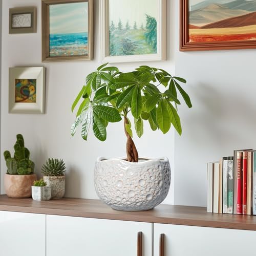 Ceramic Pots for Plants, 8 Inch Planters for Indoor Plants, Grey - Image 6
