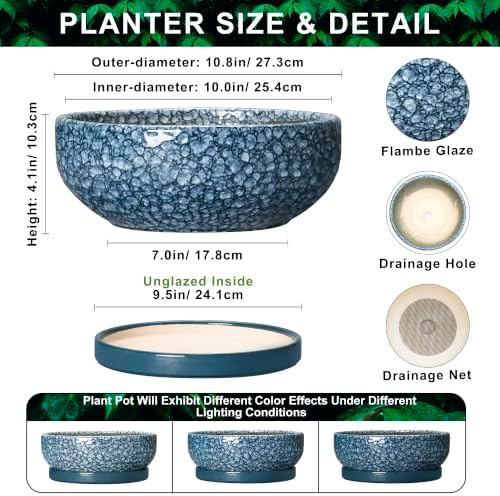 10 Inch Ceramic Bonsai Pots with Saucer, Scale Blue - Image 2