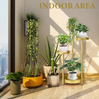 Matekxy 4-Tier Metal Plant Stand Indoor Outdoor for Garden, Livingroom-Gold - Image 6