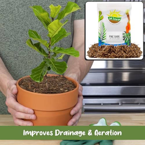 Soil Sunrise 100% Natural Pine Bark Mulch Nuggets (12 Quarts) Small Chips for Indoor/Outdoor Container Gardening, Ideal for Soil Supplement, Houseplant Topper, and Terrariums - Image 4