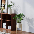Metal Plant Pot with Adjustable Stand, Mid Century Modern Planter Holder Capacity of 160LB for 8 to 14 Inch, Living Room Garden Bedroom Office Indoor Outdoor Beige & Golden - Image 2