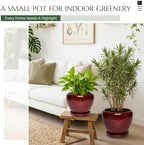 10.6 Inch Ceramic Planter with Saucer for Indoor Plants (Speckled Red) - Image 2