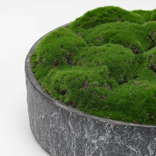 NAHARO New Moss Bowl,11''Handmade Cement Bowl–Artificial Moss Centerpiece for Home Decoration, Living Room, Office, or Coffee Table Display - Image 3