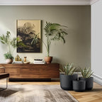 Kante Set of 3 Black Concrete Capsule Round Planters for Modern Home - Image 5