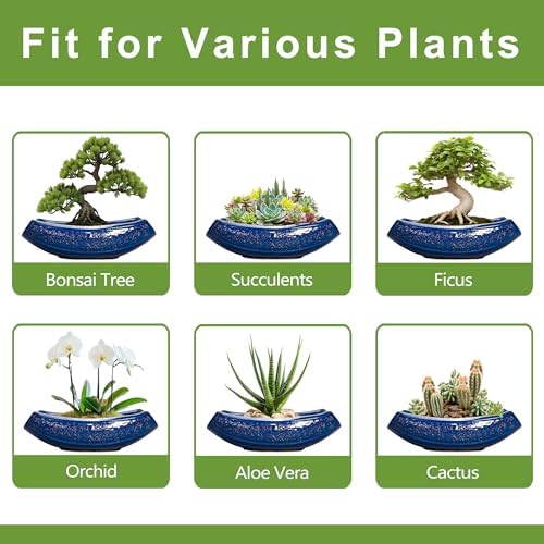 Bonsai Pots - 18 Inch Large Ceramic Succulent Pots for Indoor Outdoor, Bonsai Planter with Drainage Hole, Ceramic Flower Pot, Decorative Plant Pot, Gifts for Plant Lovers, Office Decor, Blue - Image 7
