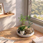 Ceramic Plant Saucer 10.5 Inch 1 Pack White, Fits Pot Base Under 10 Inch - Image 4