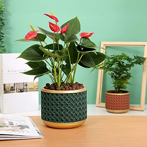 6&4.4 Inch Cement Planter Decorative Pots with Drainage Hole for All House Plants, Succulents, Flowers, and Cactus (Gold Green) - Image 7