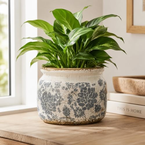 Dosayes Large Flower Pot, 7.28" Vintage Ceramic Pot of Indoor Plant - Image 5