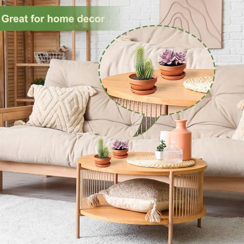 5 Inch Shallow Terracotta Pot for Succulent - 6 Pcs Small Shallow Plant Pots with Drainage Hole and Saucer Mesh Pad, Clay Plant Pottery Pots for Cactus Succulent and Other Indoor Outdoor Plants - Image 6