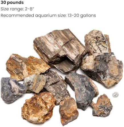 SubstrateSource Natural Stone for Aquarium, Terrarium, Paludarium, Reptile Enclosures - Set of Decorative Rocks for Landcapes, Aquascaping, Fish Tank Decor (Petrified Wood Stone, 30 Pounds, 2-8") - Image 2
