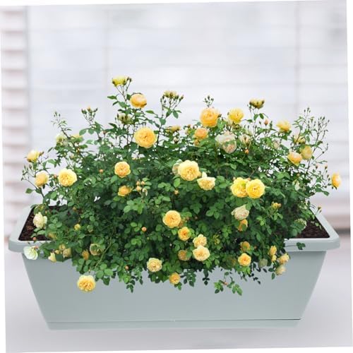 4-Set Rectangular Window Box Planter with Saucer Vegetable Herb Flower Planting Pots for Indoor Outdoor Garden 43cm Medium Plastic Containers in Light Gray Sky Blue Terracotta - Image 7