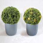 Artificial Plant Topiary Ball Dia 8in, Faux Plant Topiary Ball Extra Large, Garden Spheres Outdoor, Topiary Balls Artificial Outdoor, Lifelike Moss Balls Decorative Set - Image 2