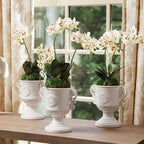 NAPA Home & Garden, PHALAENOPSIS Orchid Drop-in 16" - Image 2