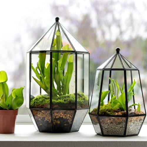SuperMoss (90405) Glass Terrarium – Elegant Indoor Gardening Décor, Ideal Gifts for Plant Lovers, Modern Home & Office Decoration, 7.5” x 7.5” x 14”, Greenhouse - Image 4