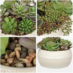 DILATATA Artificial Succulent Plants in Pot 5.5 Inch Fake Succulents Arrangement Potted Plant in White Ceramic Planter Bowl for Home Office Desk Shelf Living Room Bedroom Bathroom Decor - Image 3