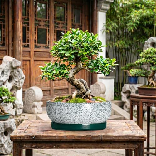 Pots for Succulents, 13 Inch Ceramic Bonsai Pots, Texture Green - Image 7