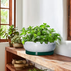 Succulent Planters 10 Inch - Ceramic Bonsai Pots with Drainage Hole and Saucer, Large Succulent Pots Indoor, Shallow Planter, Round Bowl Planter Outdoor, Patio Decor, Plant Lover Gift, Green - Image 6
