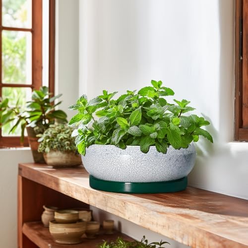 Succulent Planters 10 Inch - Ceramic Bonsai Pots with Drainage Hole and Saucer, Large Succulent Pots Indoor, Shallow Planter, Round Bowl Planter Outdoor, Patio Decor, Plant Lover Gift, Green - Image 6